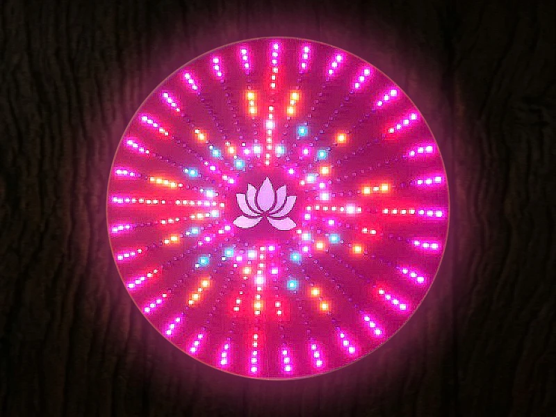 Hào Quang LED Full đa sắc hoa sen thờ Phật – Tượng Phật Khai Tâm